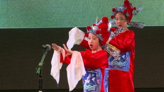 黄梅戏全剧 –