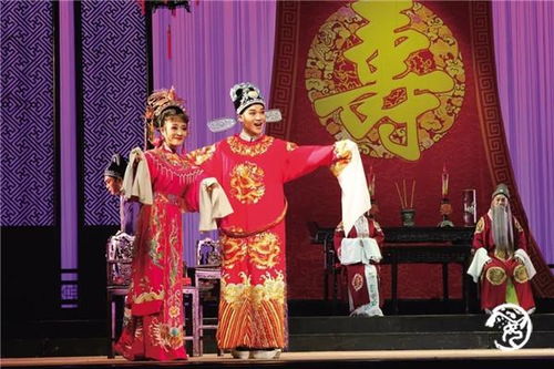 青春黄梅戏 青年来开唱 王泽熙张敏,台前幕后的黄金搭档