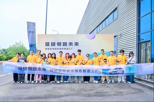 东风纳米周年盛典 好米大会璀璨启幕,共鉴实力飞跃新篇章
