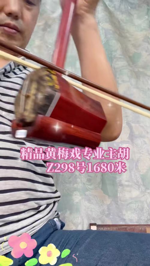 皖风琴韵 精品黄梅戏高胡