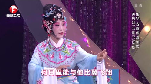 黄梅戏 女驸马 选段,杨华声情并茂,唱的有声有色