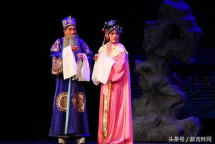 黄梅戏 女驸马 在吉林市成功上演 掌声经久不息